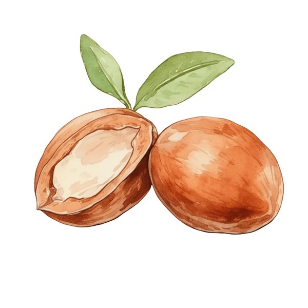 Argan organic certificat