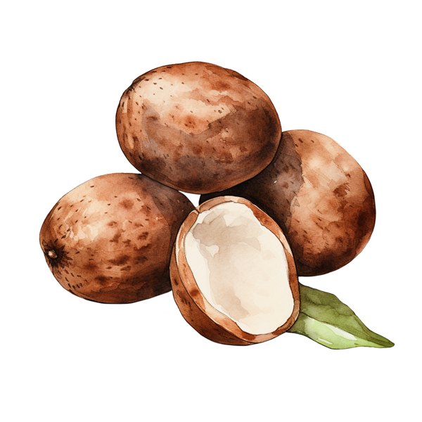 Shea organic certificat