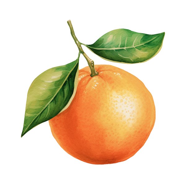 Portocală dulce organică certificată