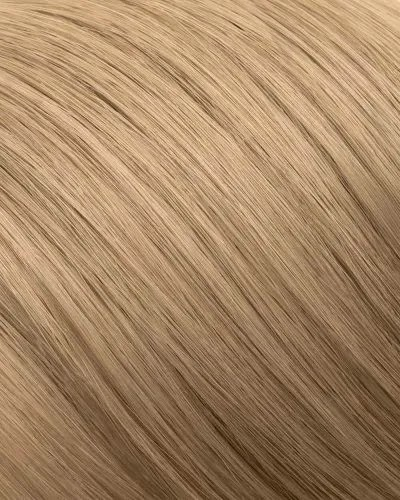 9.2 Honey Ash Blonde