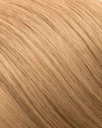 9.3 Lightened Golden Blonde